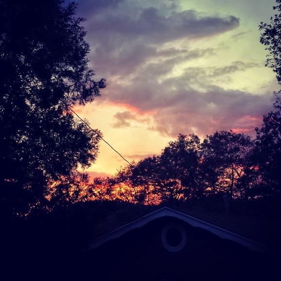 Meet your Posher, Forrest - Picture 1 of 1